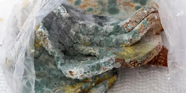 Ekmek küflenmesini önlüyor: 1 diş eklenmesi yetiyor....