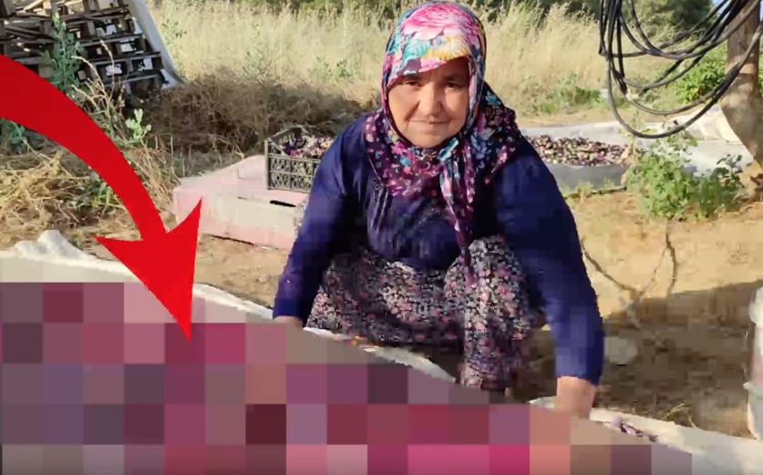 Ekmek su gibi kapış kapış satılıyor! İş arayana gelir kapısı