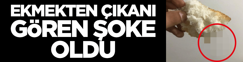 Ekmekten çıkanı gören şoke oldu