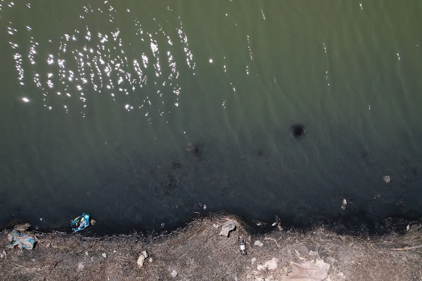 Ekolojik felaket! Göletteki tüm balıklar öldü