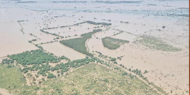 Ekonomik iflasın eşiğindeki Pakistan'da sellerin maliyeti 20 milyar dolar!