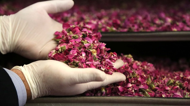 Ekonomiye yıl boyu girdi sağlıyor