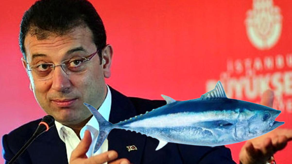 Eko’nun orkinosları nerede? İBB vaatleri skandala dönüştü