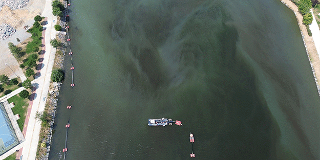 Ekrem varsa sorun var! Tertemiz bırakılan Haliç’ten rezalet görüntüler