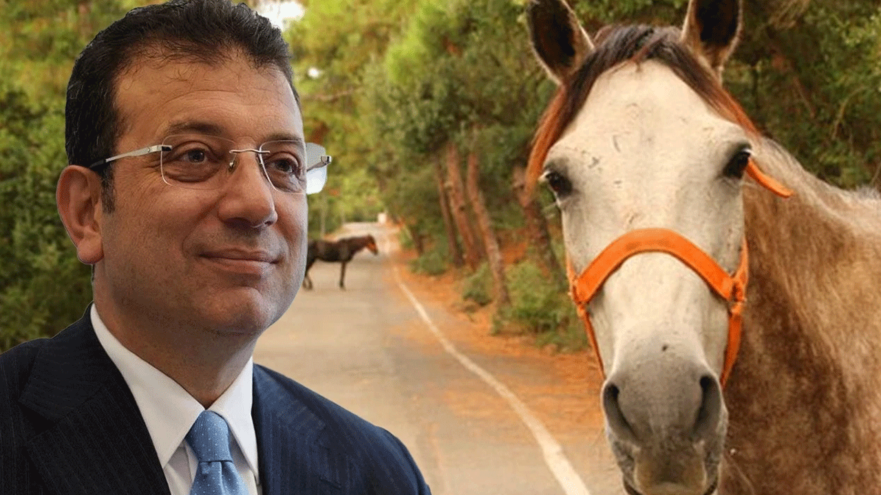 Ekrem’e tepki yağıyor! 'Atlar için bile hiçbir şey güzel olmadı'
