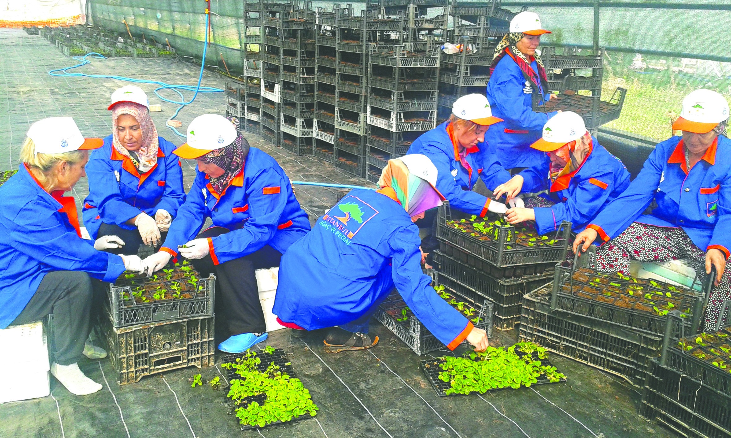 Ekrem’in adamları 300 milyona çöktü