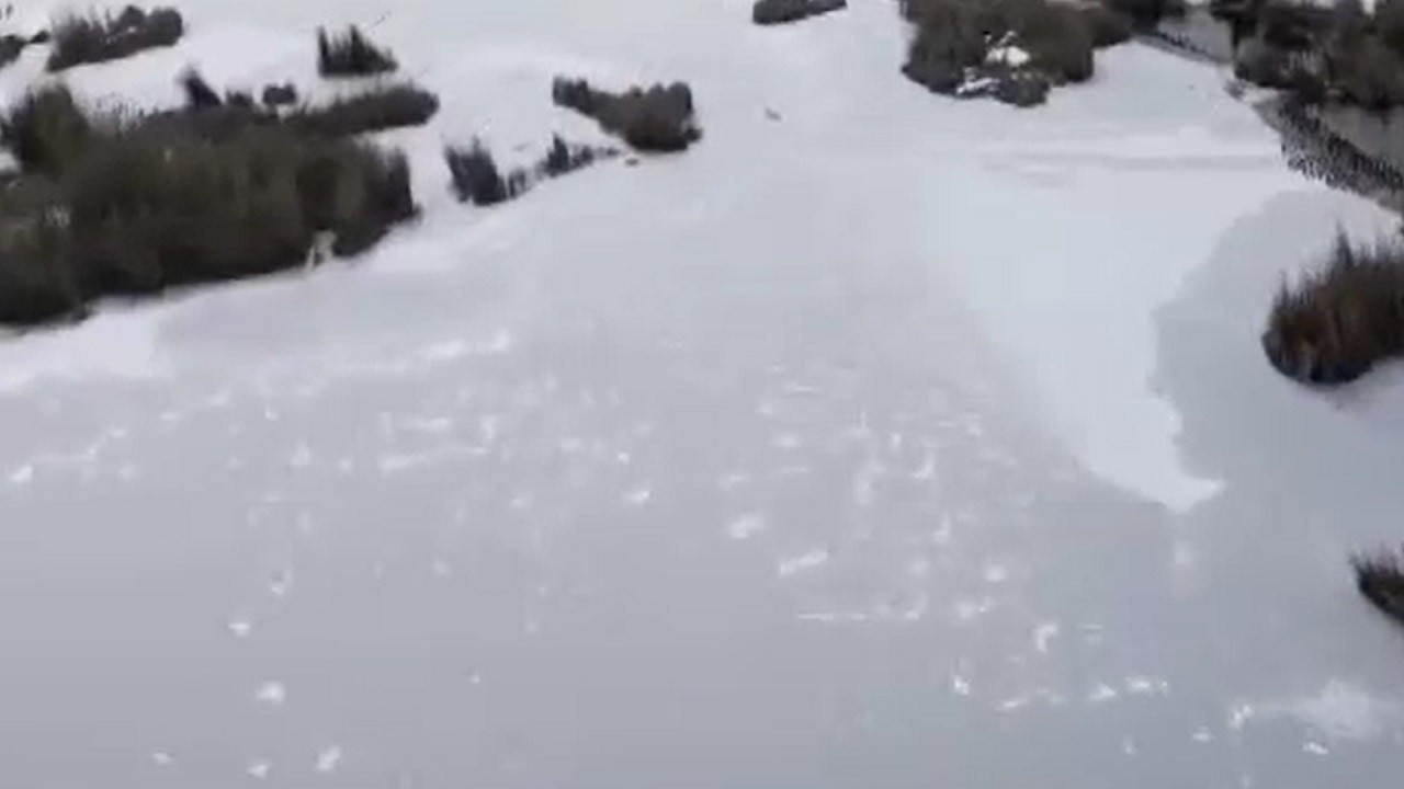 Eksi 17 derece! Sultan Sazlığı’nda buz çağı