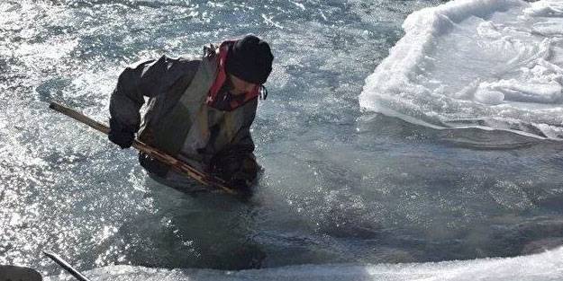Eksi 40 derecede altın peşinde