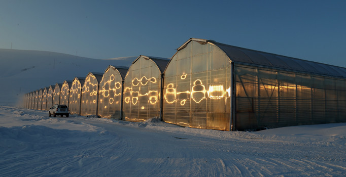 Eksi 40 derecede üretilip ihraç edilecekler