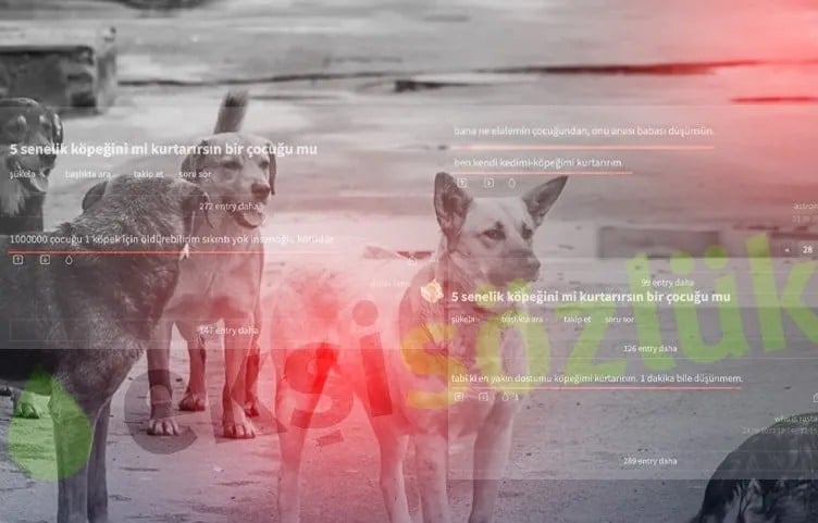 Ekşi Sözlük'te skandal: Olayın ardından yapılan paylaşım, işte o sözler! Her türlü rezillik varken şimdi bunlar çıktı