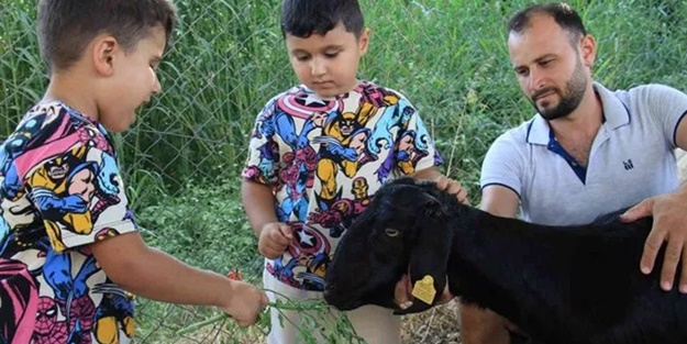 Eksik olma Haluk Levent (!) Kaçan keçinin bedelini ödeyip sahiplendi...