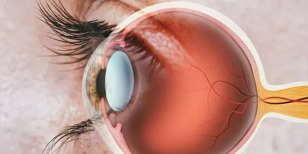 Eksikliği körlüğe neden oluyor! Göz kalitesini etkiliyor: Bu vitamin şahin gibi gözlerin sırrı…