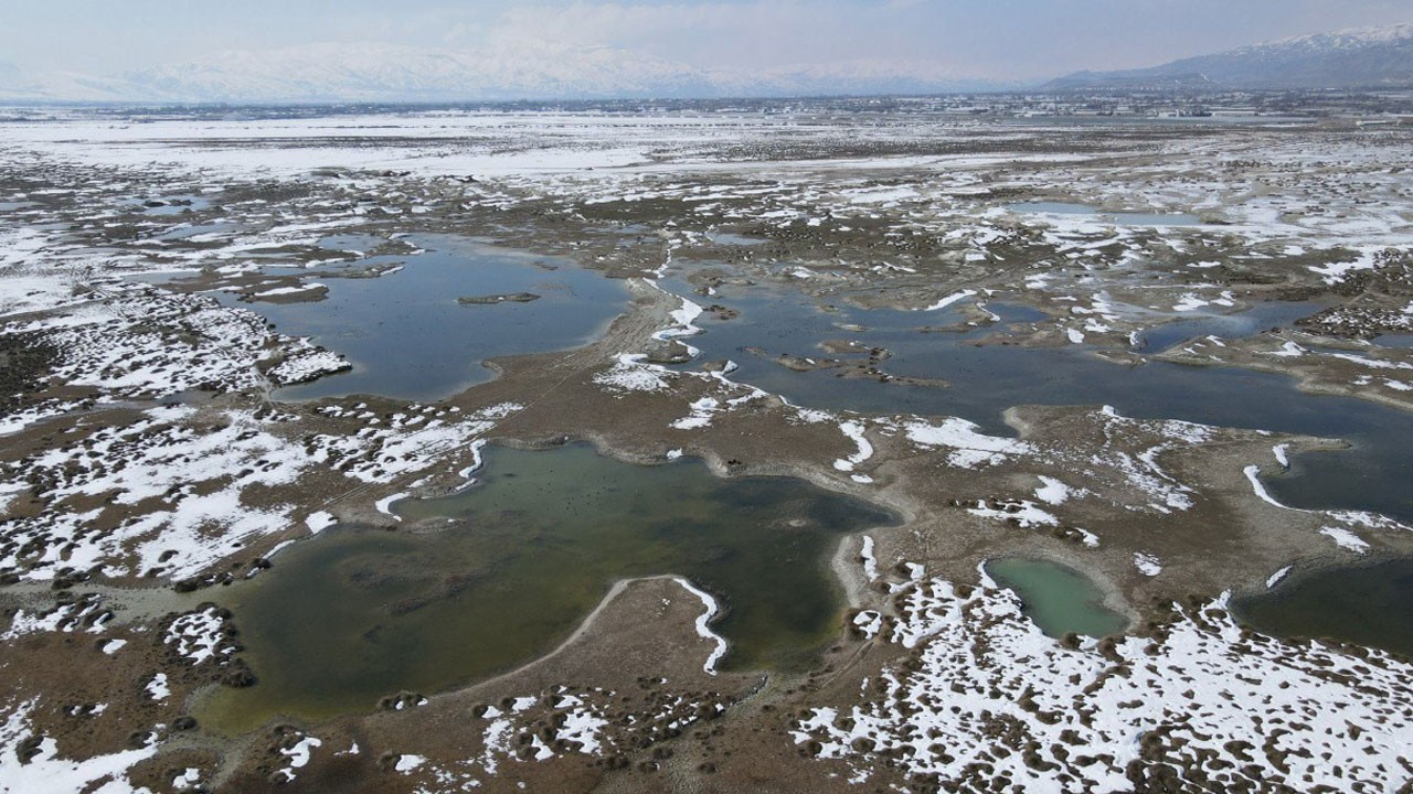 Ekşisu Kuş Cenneti’nde sert yüzü! Şahinlerin av anı drone ile görüntülendi