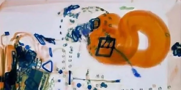 El bagajının içinde yılan bulundu