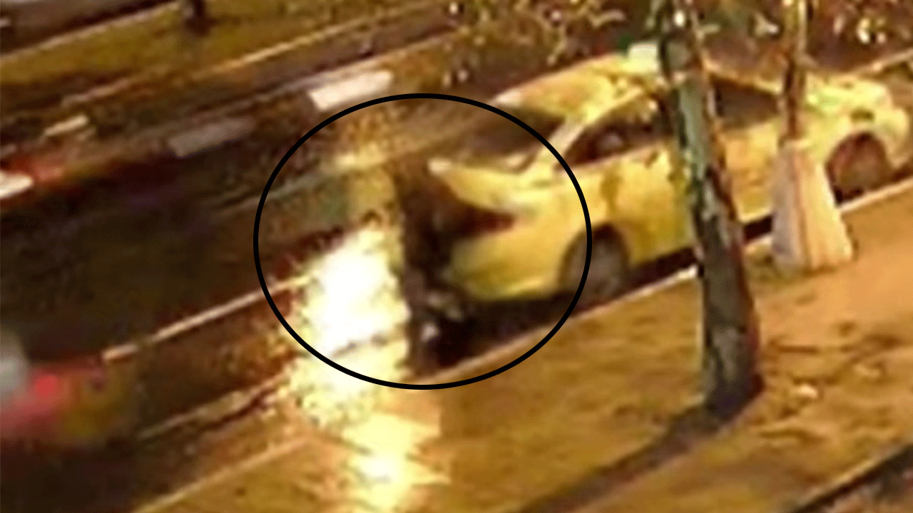 El frenini çekmeyi unuttuğu taksinin altında kalarak hayatını kaybetti!