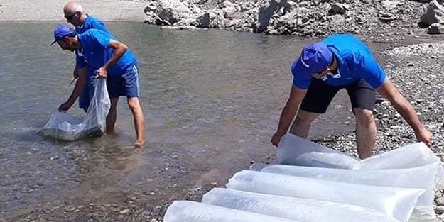 Elazığ'a 3 milyon sazan desteği
