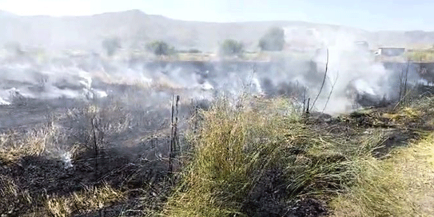 Elazığ’da 10 dönüm tarım arazisi yandı