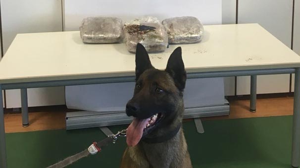 Elazığ'da 5 kilo 750 gram toz esrar ele geçirildi