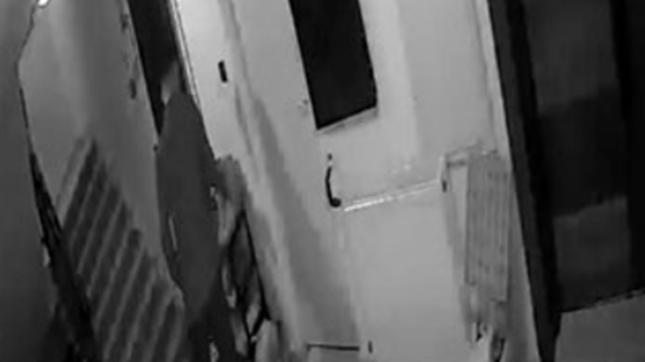 Elazığ'da ayakkabı hırsızlığı böyle görüntülendi!