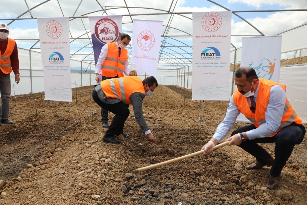 Elazığ’da çiftçiye 2 milyon fide desteği için üretim 