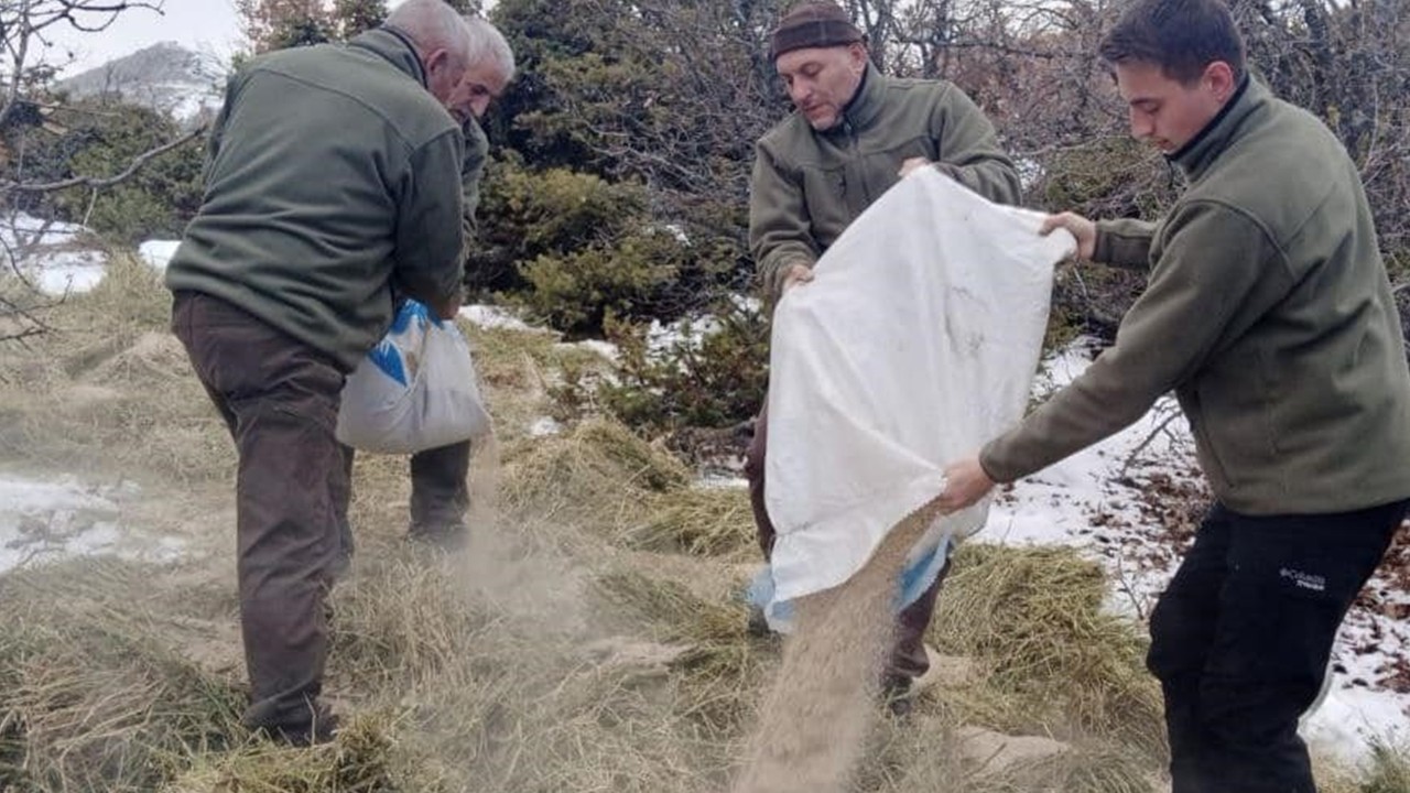 Elazığ’da doğaya 1 ton yem bırakıldı
