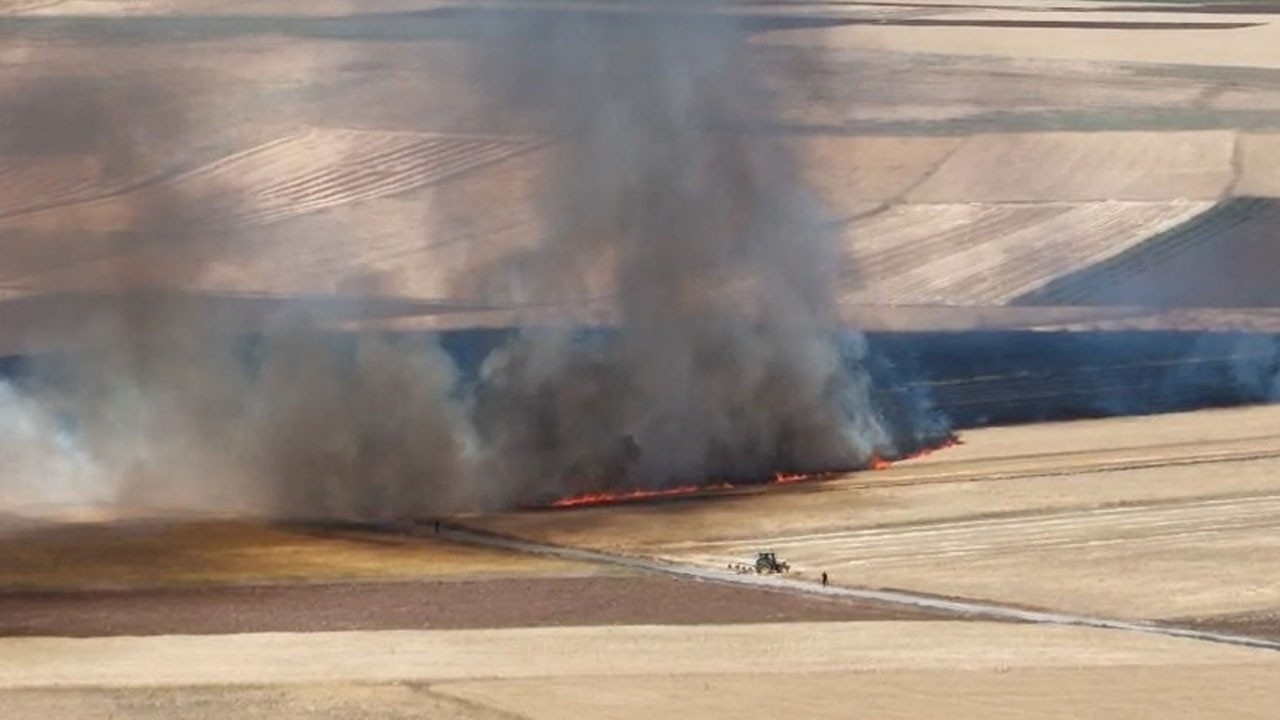 Elazığ'da ekili alanda feci yangın