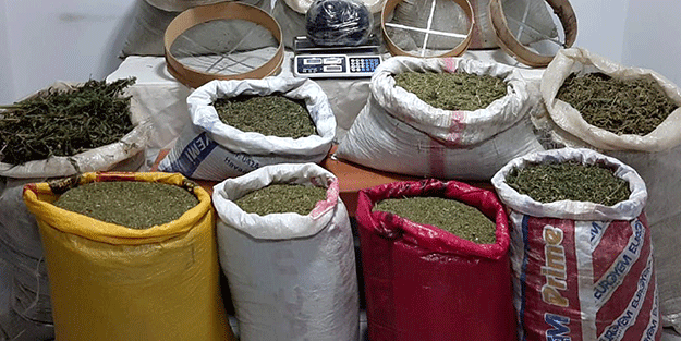 Elazığ'da esrar operasyonu