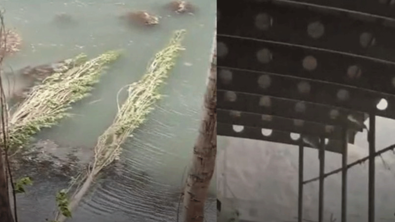 Elazığ'da hayat felç oldu! Çatılar uçtu, ağaçlar devrildi!