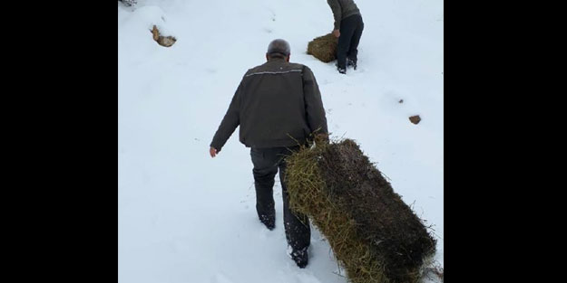 Elazığ'da hayvanlar için doğaya 2 ton yem bırakıldı