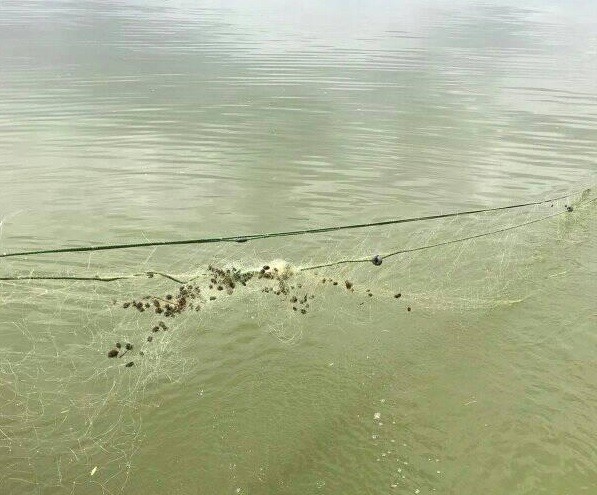 Elazığ’da kaçak balık avı ile mücadele 