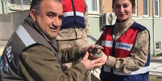 Elazığ'da kaçak keklik avlayanlara 22 bin TL para cezası
