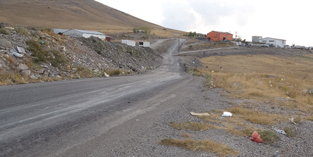 Elazığ'da kadın cinayeti! Saatlerce işkence etti, öldürüp cesedini çöp toplama merkezi yakınına attı!