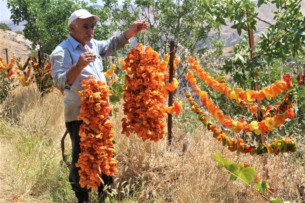 Elazığ’da kış için ‘kurutmalık’ mesaisi başladı 