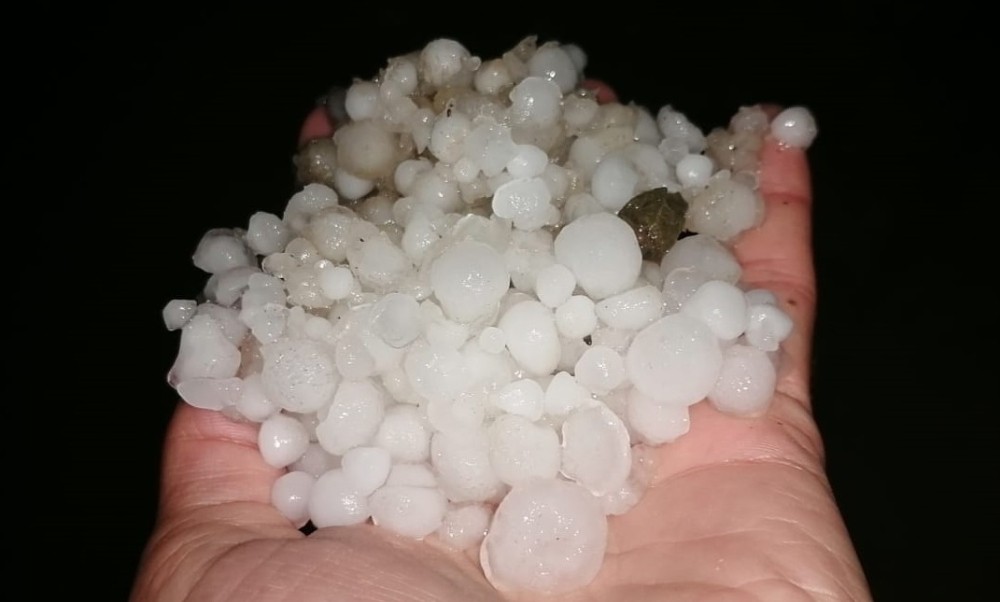 Elazığ’da misket büyüklüğündeki dolu, bahçelere zarar verdi 