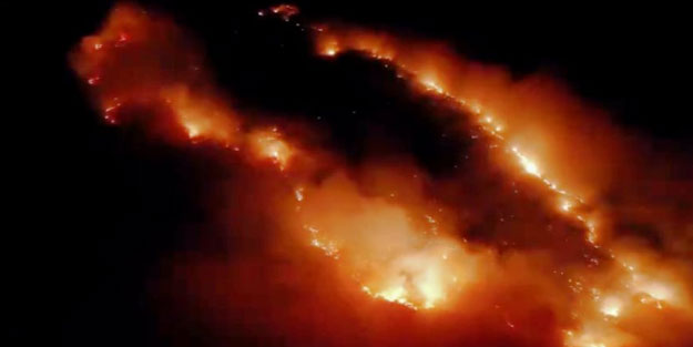 Elazığ’da orman yakınında örtü yangını