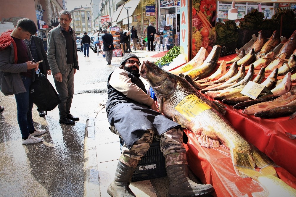 Elazığ’da son yılların en büyük turnası yakalandı, 2 metre, 138 kilo 