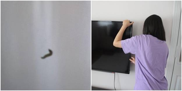 Elazığ’da TV’ye bakan aile gözlerine inanamadı! Bakın ne çıktı