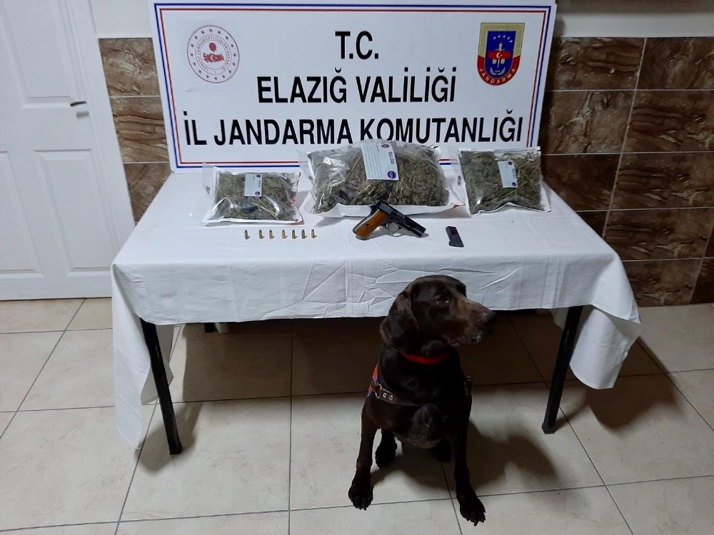 Elazığ’da uyuşturucu operasyonu:2 gözaltı 