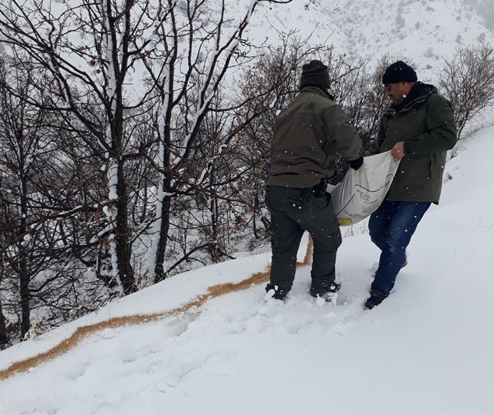 Elazığ’da yaban hayvanları için doğaya yem bırakıldı 