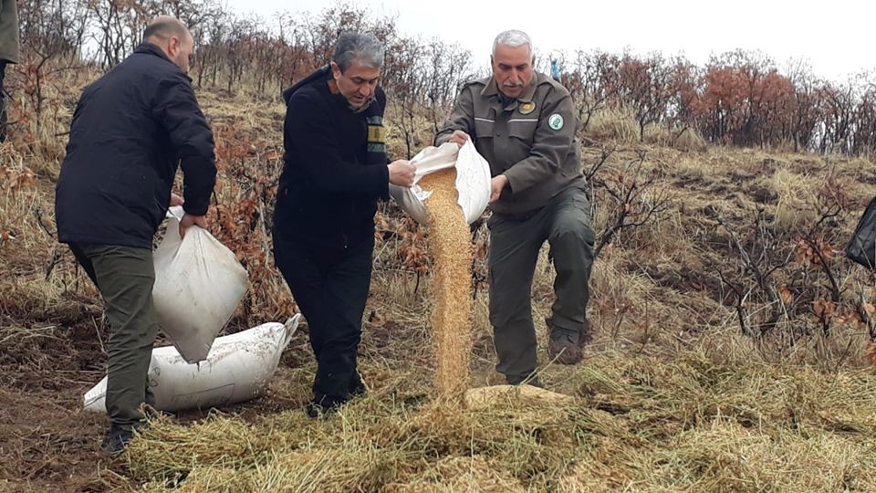 Elazığ’da yaban hayvanları için doğaya yem bırakıldı 