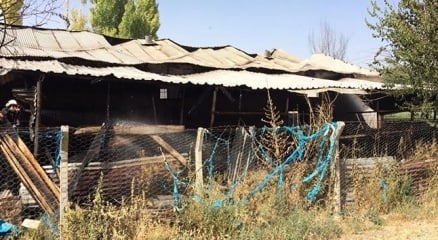 Elazığ’da yangında 2 büyükbaş hayvan telef oldu