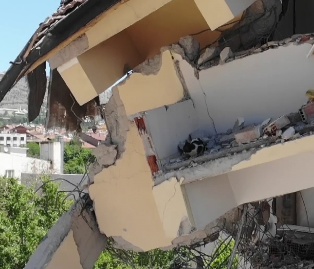 Elazığ’da yıkım kedi ve yavruları için 3 gün durduruldu 