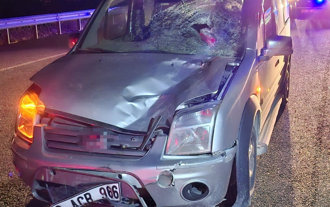 Elazığ'da yolun karşısına geçmek isterken aracın çarptığı kadın öldü