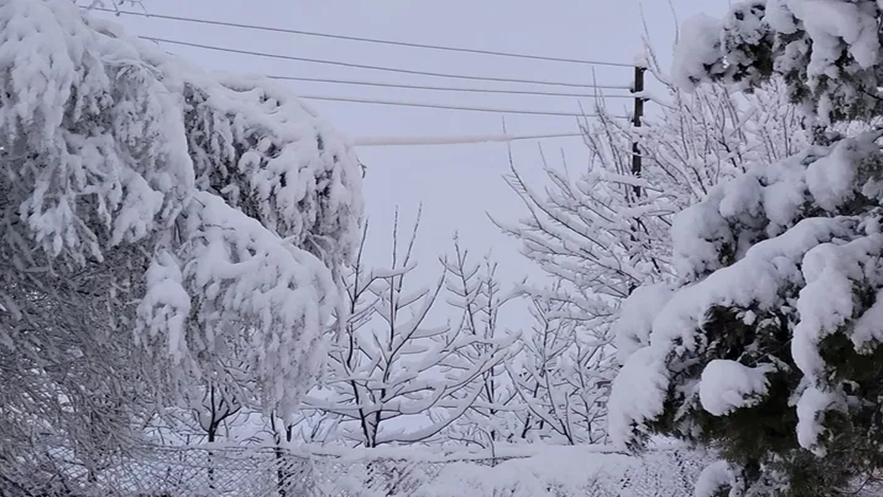 Elazığ'da zirai don uyarısı!