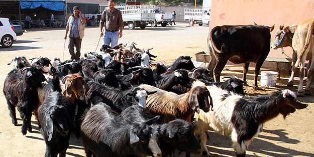 Elde kalan kurbanlıkları bakanlık alacak