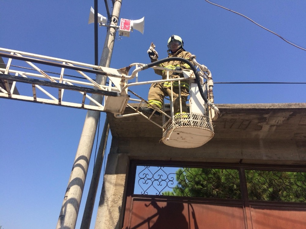 Elektrik direğinde mahsur kalan kediye itfaiye kurtardı 