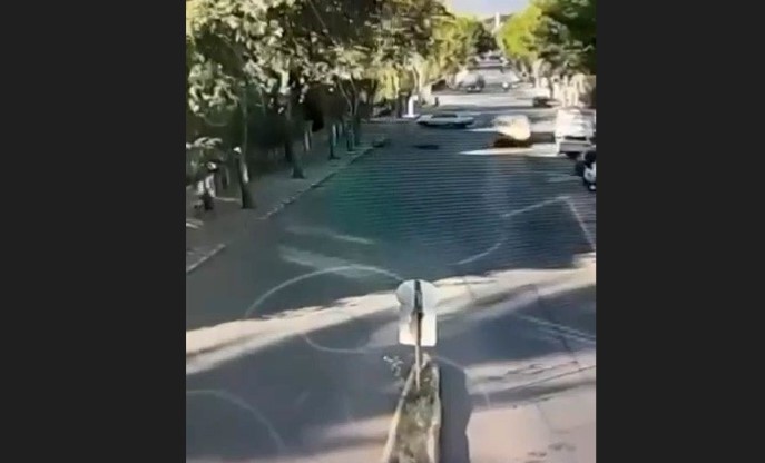 Elektrik direğine çarparak hayatını kaybetti