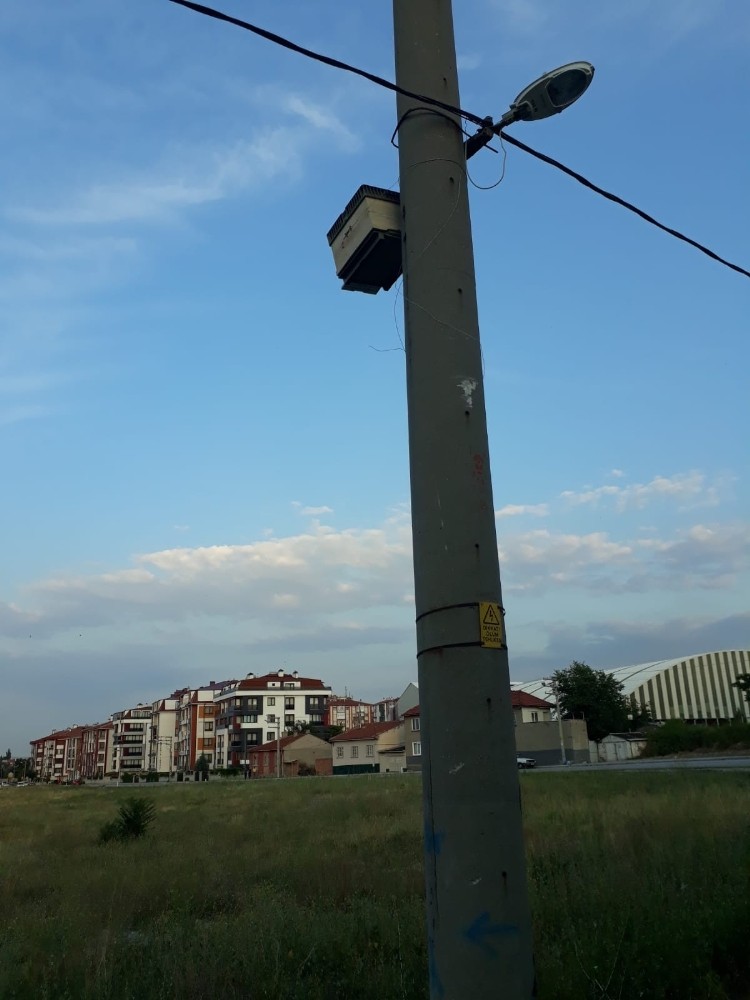 Elektrik direğine sabitlenen arı kovanı 