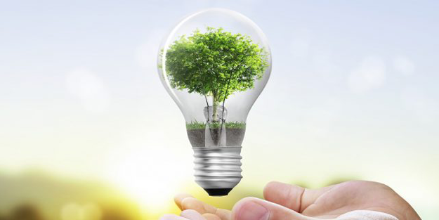 Elektrik ihtiyacının yarısı ‘yenilenebilir’ enerjiden