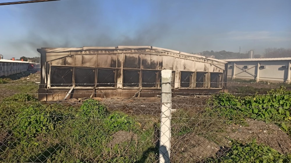 Elektrik kontağı tavukhaneyi küle çevirdi 